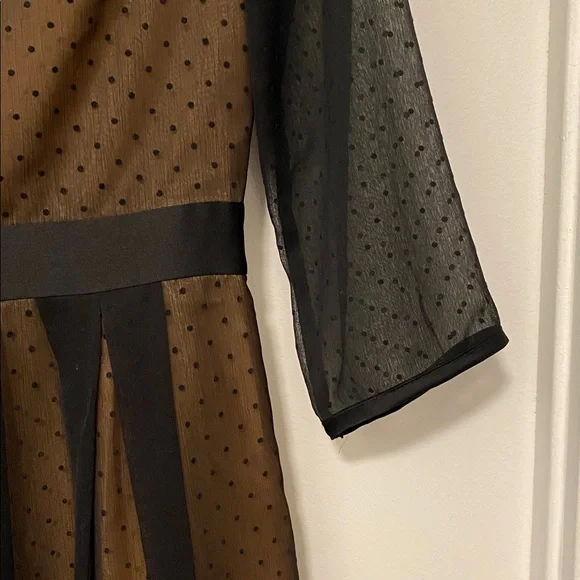 H&M Black and Tan Sheer Dress - Picture 7 of 11